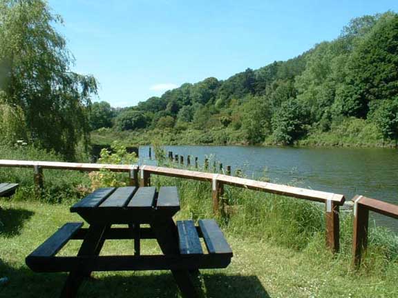 Riverside Cottage table by river
